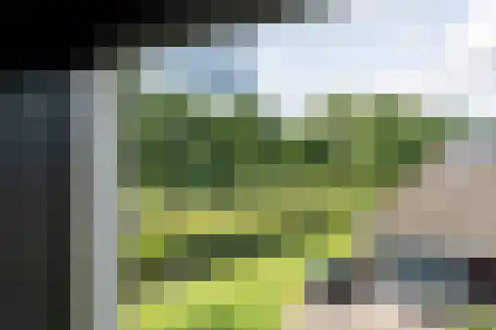 Snippenveld 18 Emmen thumbnail 26