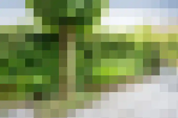 Snippenveld 18 Emmen thumbnail 30