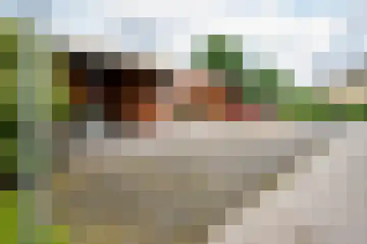 Snippenveld 18 Emmen thumbnail 34