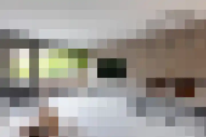 Snippenveld 18 Emmen thumbnail 5