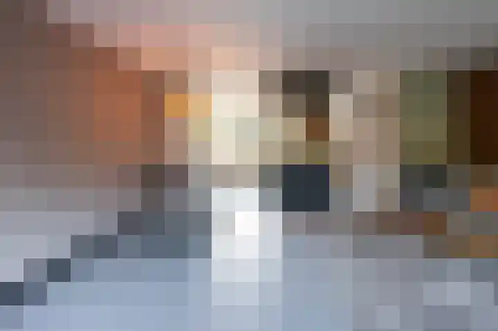 Snippenveld 18 Emmen thumbnail 7