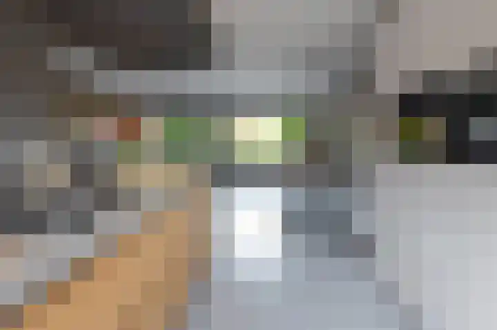 Snippenveld 18 Emmen thumbnail 8