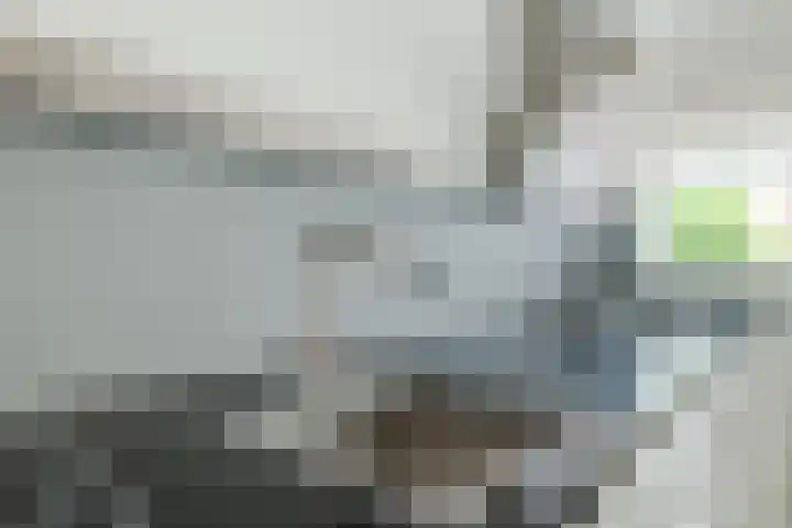 Snippenveld 22 Emmen thumbnail 12