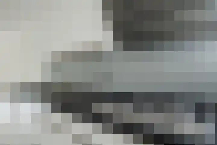 Snippenveld 22 Emmen thumbnail 13