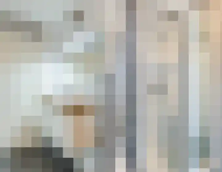 Snippenveld 22 Emmen thumbnail 22