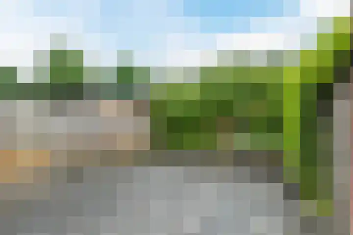 Snippenveld 22 Emmen thumbnail 25