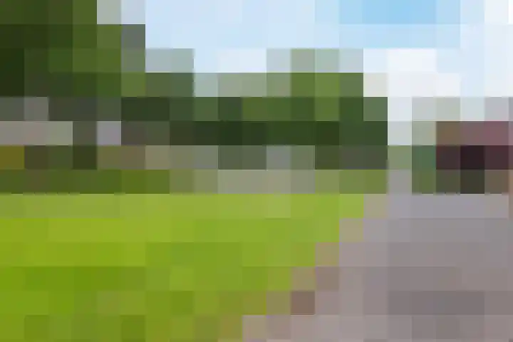 Snippenveld 22 Emmen thumbnail 30