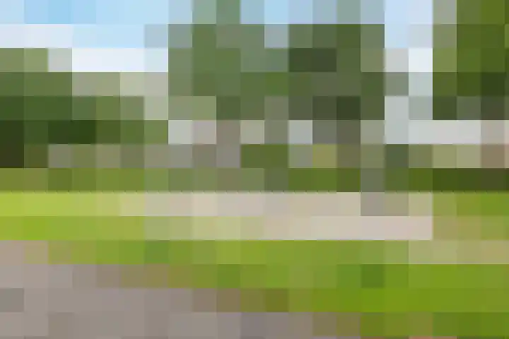 Snippenveld 22 Emmen thumbnail 31
