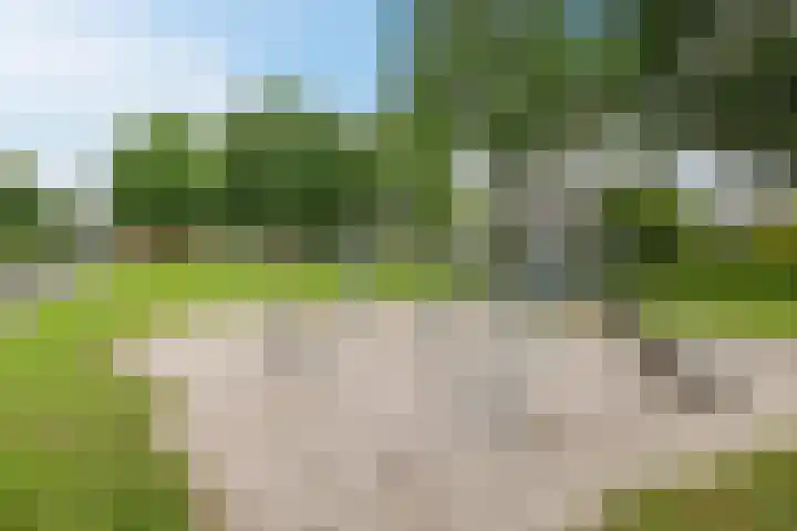 Snippenveld 22 Emmen thumbnail 32