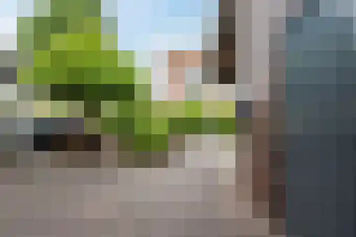 Snippenveld 22 Emmen thumbnail 6