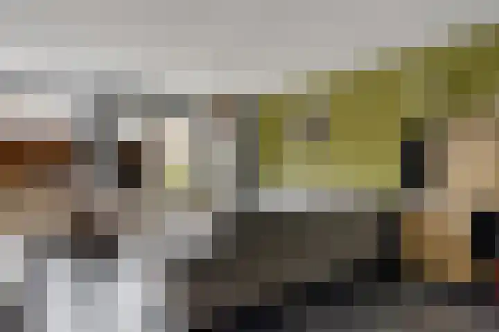Snippenveld 23 Emmen thumbnail 18