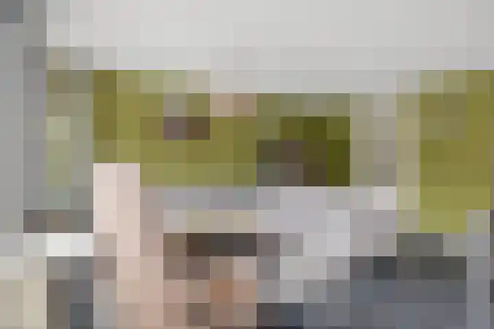 Snippenveld 23 Emmen thumbnail 19