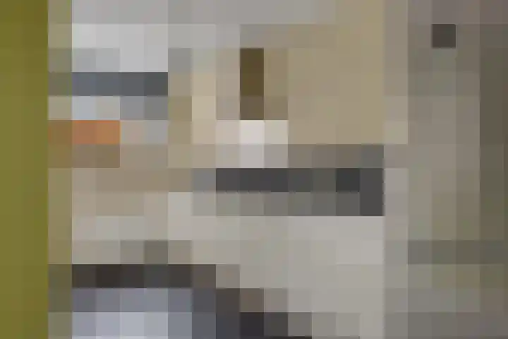 Snippenveld 23 Emmen thumbnail 25