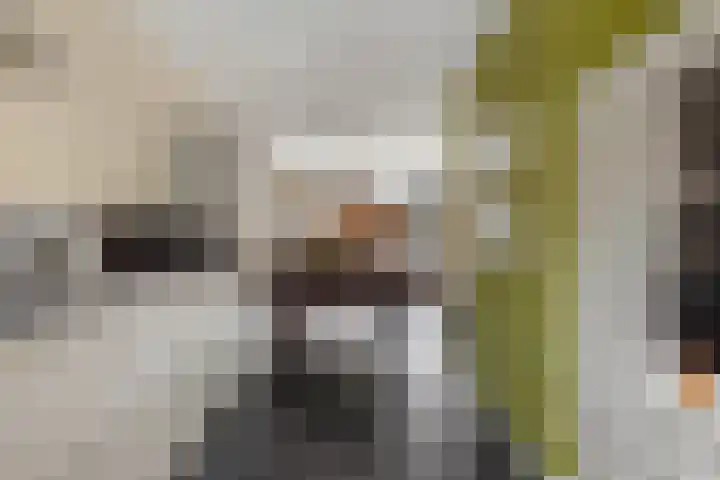 Snippenveld 23 Emmen thumbnail 28