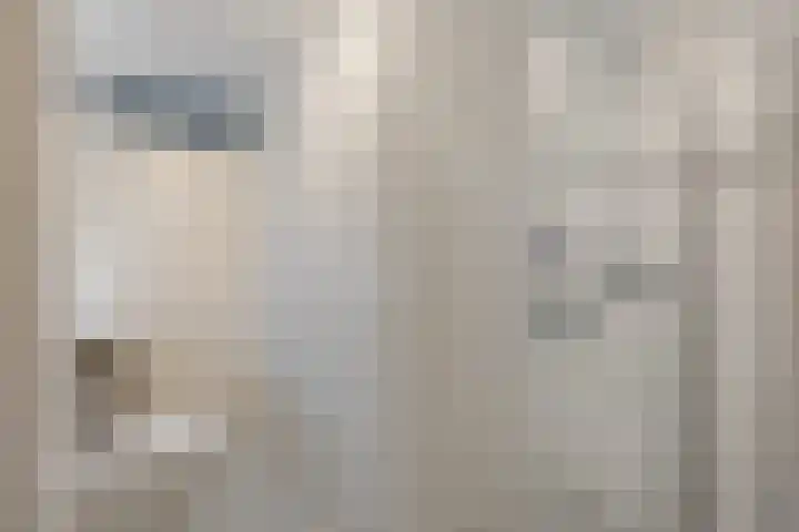 Snippenveld 23 Emmen thumbnail 34