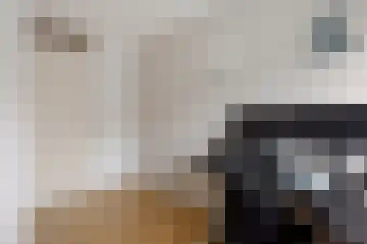 Snippenveld 23 Emmen thumbnail 41