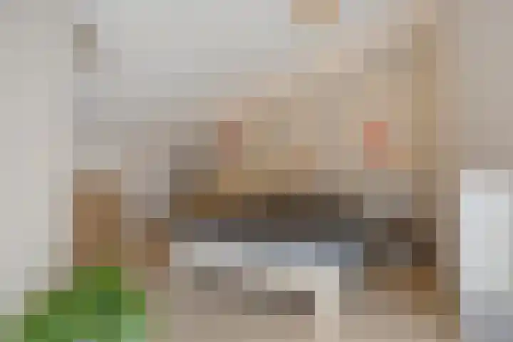 Snippenveld 23 Emmen thumbnail 43