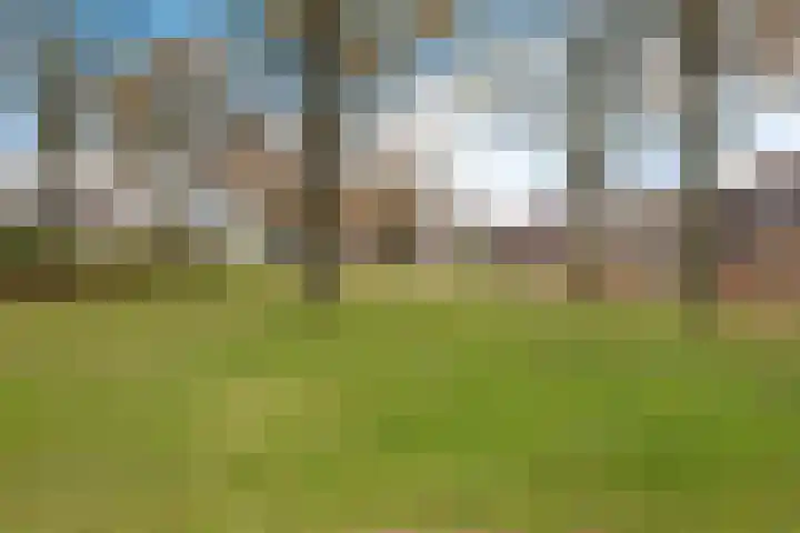 Snippenveld 23 Emmen thumbnail 7