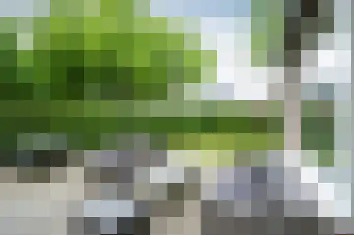 Snippenveld 26 Emmen thumbnail 24