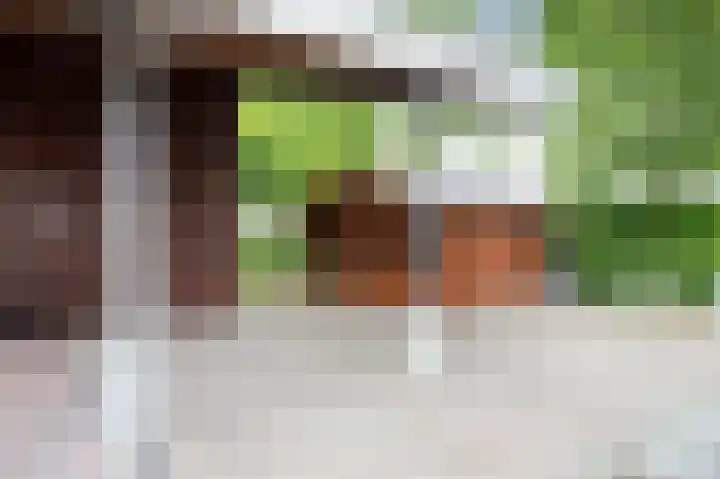 Snippenveld 26 Emmen thumbnail 32