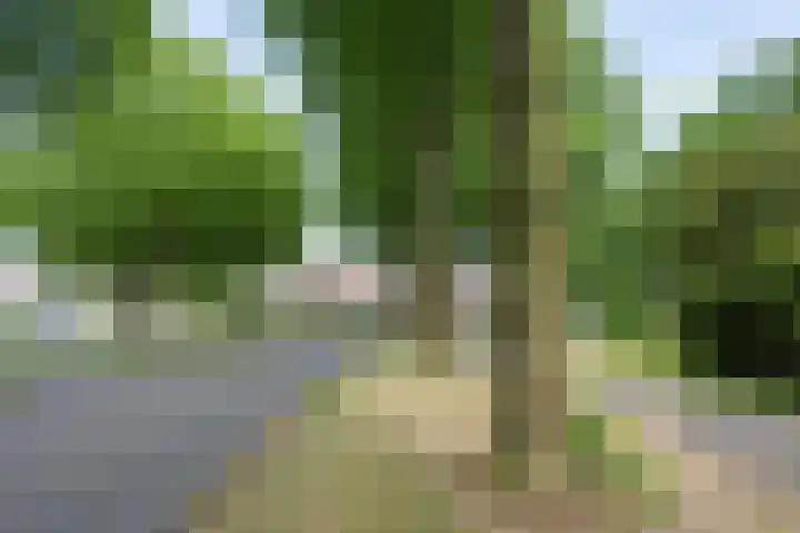 Snippenveld 26 Emmen thumbnail 39