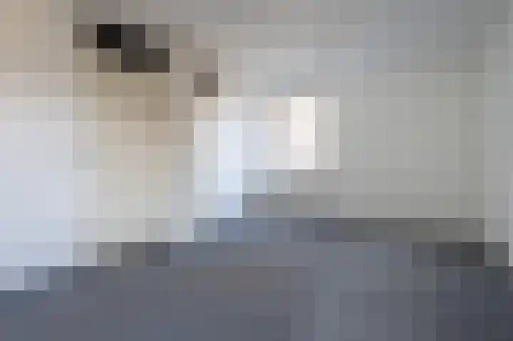 Snippenveld 3 Emmen thumbnail 22
