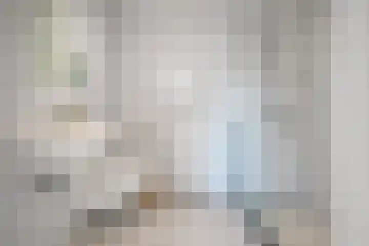 Snippenveld 3 Emmen thumbnail 26