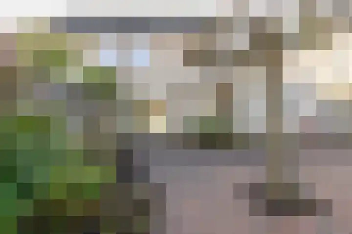 Snippenveld 3 Emmen thumbnail 38