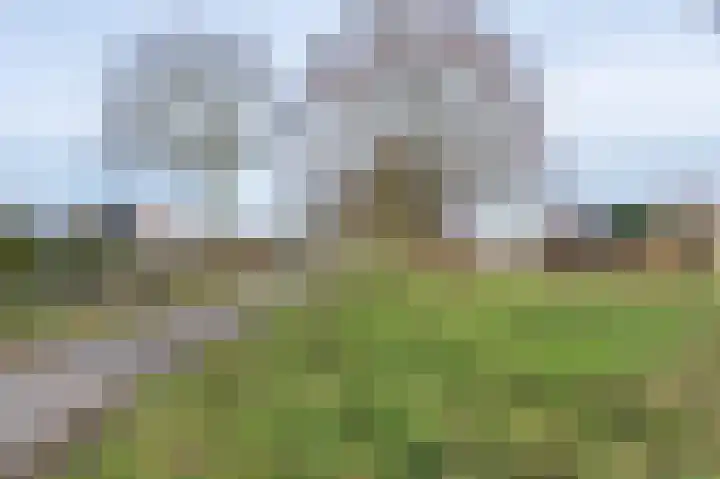 Snippenveld 3 Emmen thumbnail 42