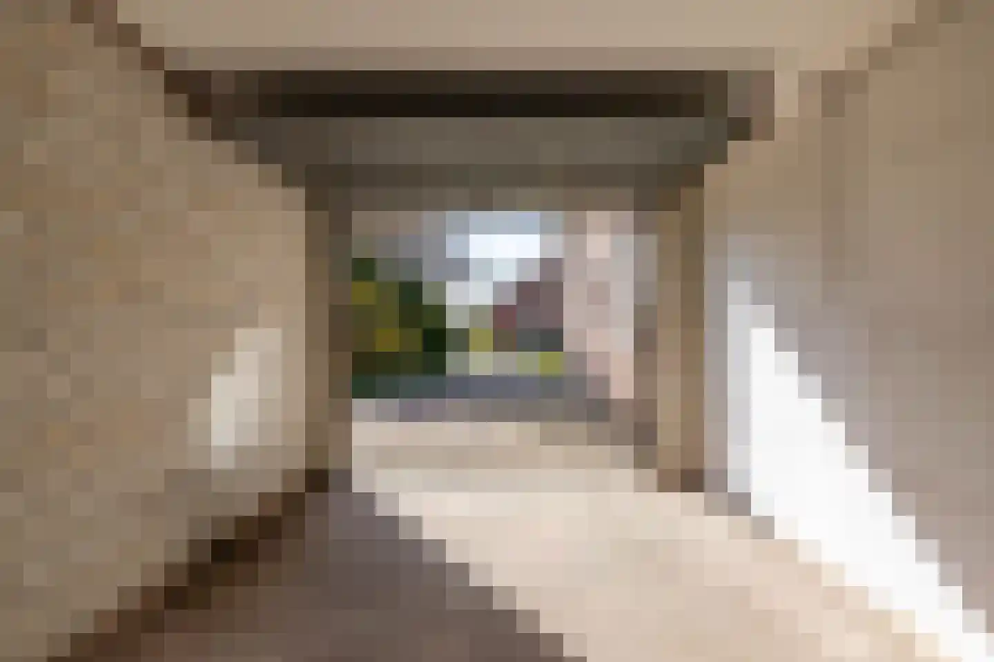 Snipperij 1 Kornhorn thumbnail 18