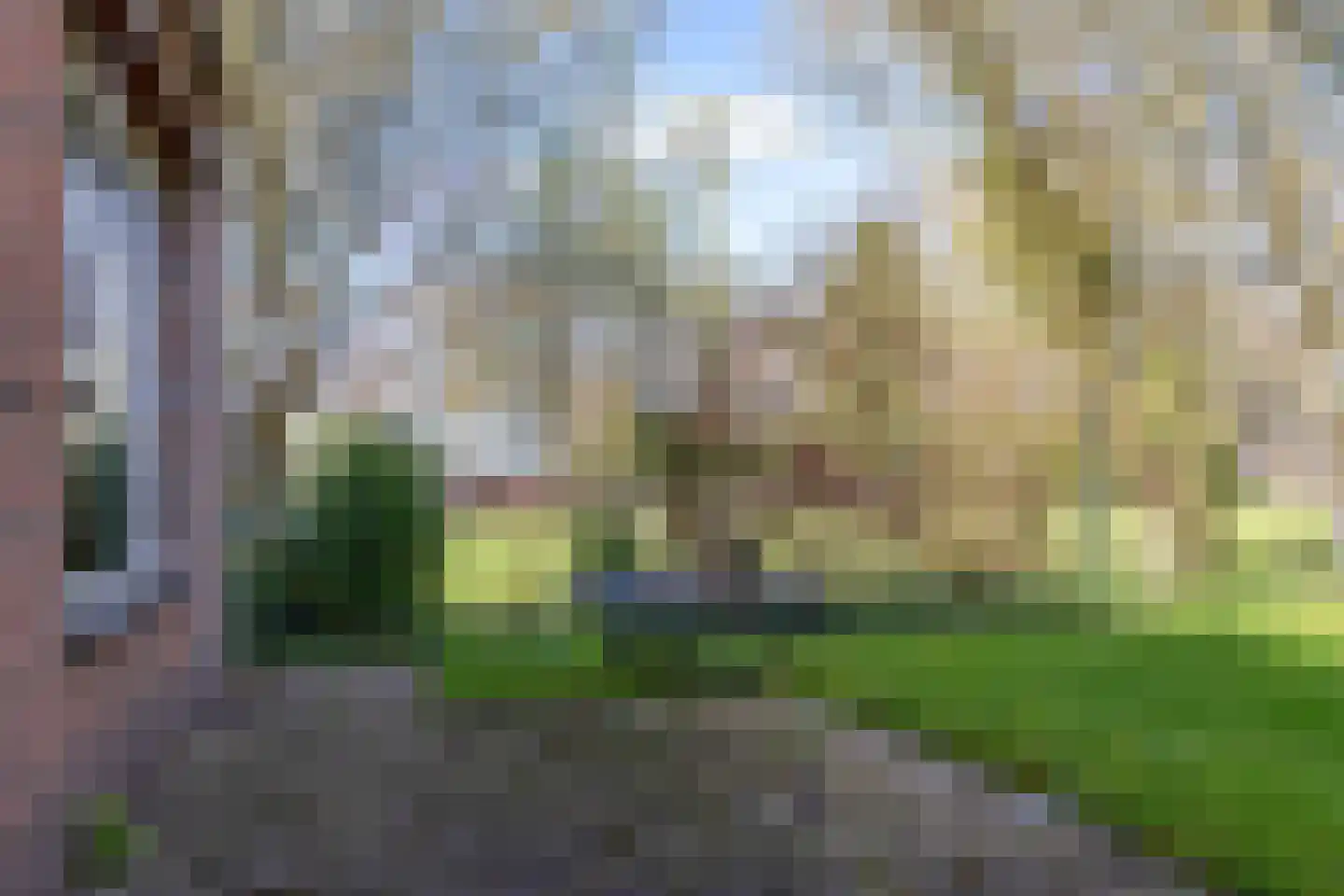 Snipperij 1 Kornhorn thumbnail 36