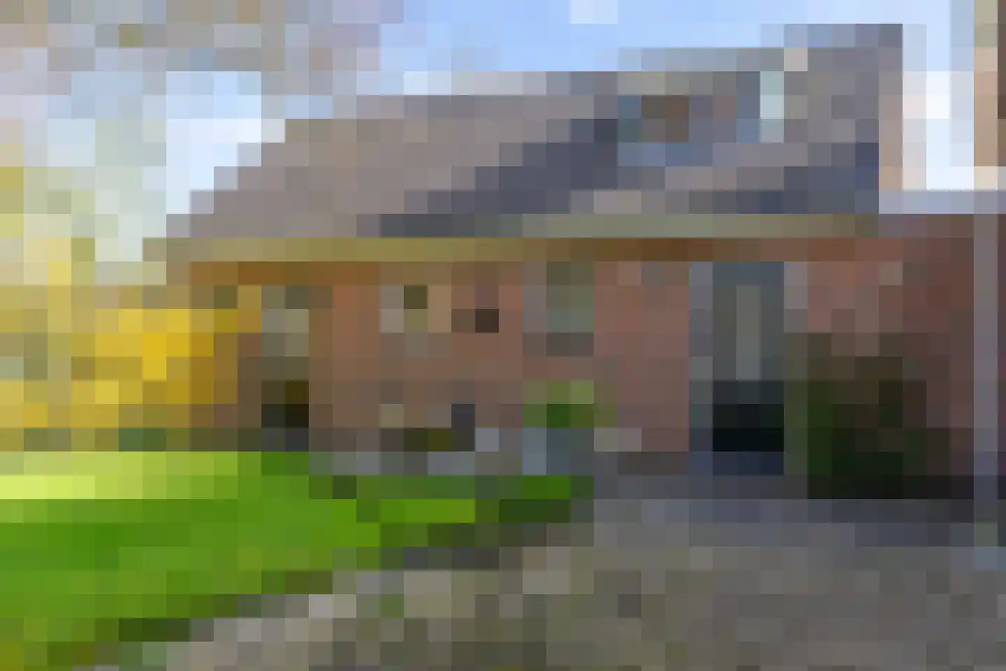 Snipperij 1 Kornhorn thumbnail 37