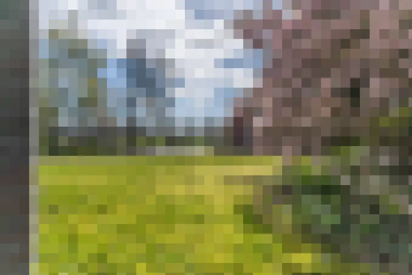 Snipperij 1 Kornhorn thumbnail 38