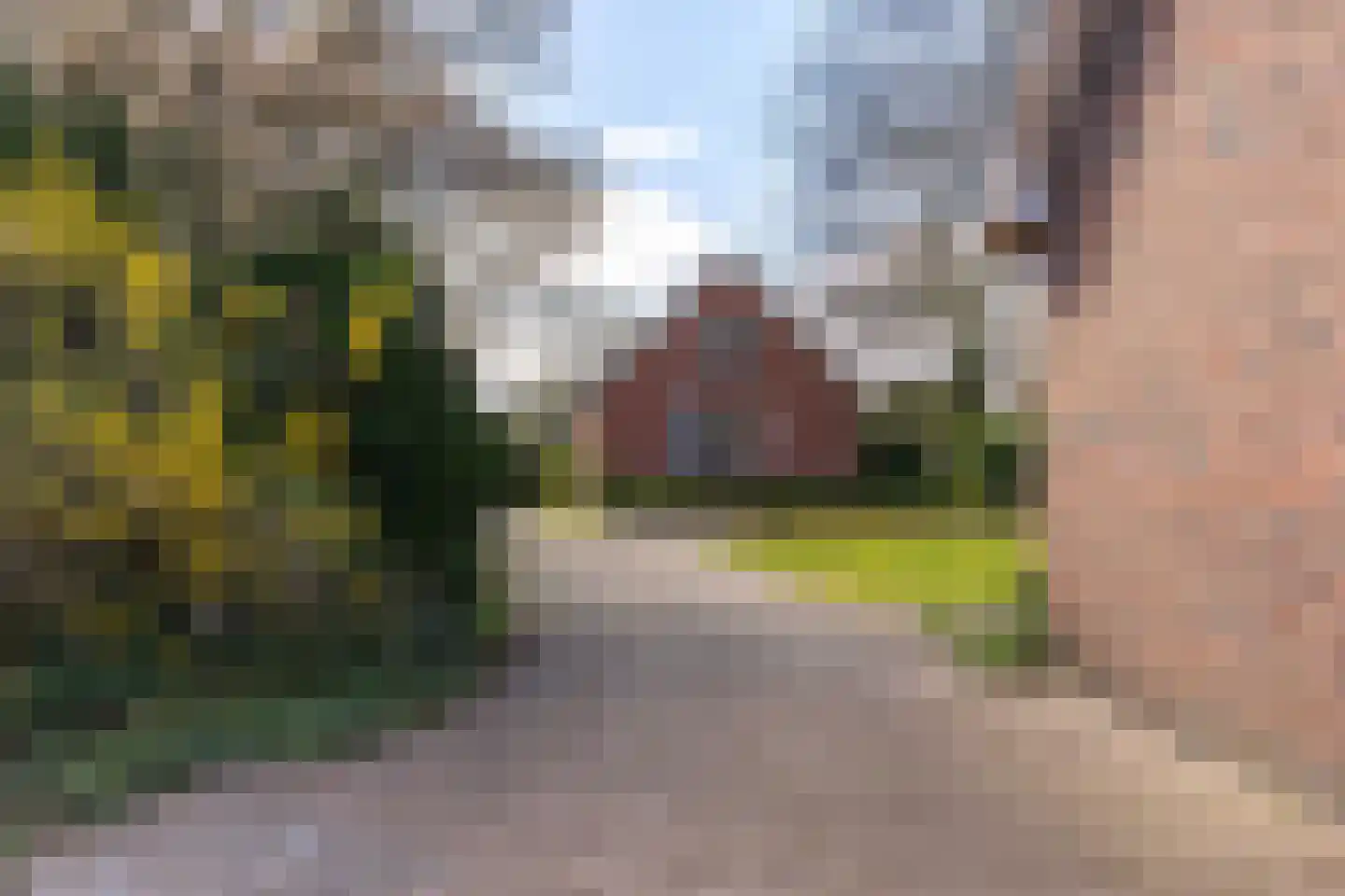 Snipperij 1 Kornhorn thumbnail 44