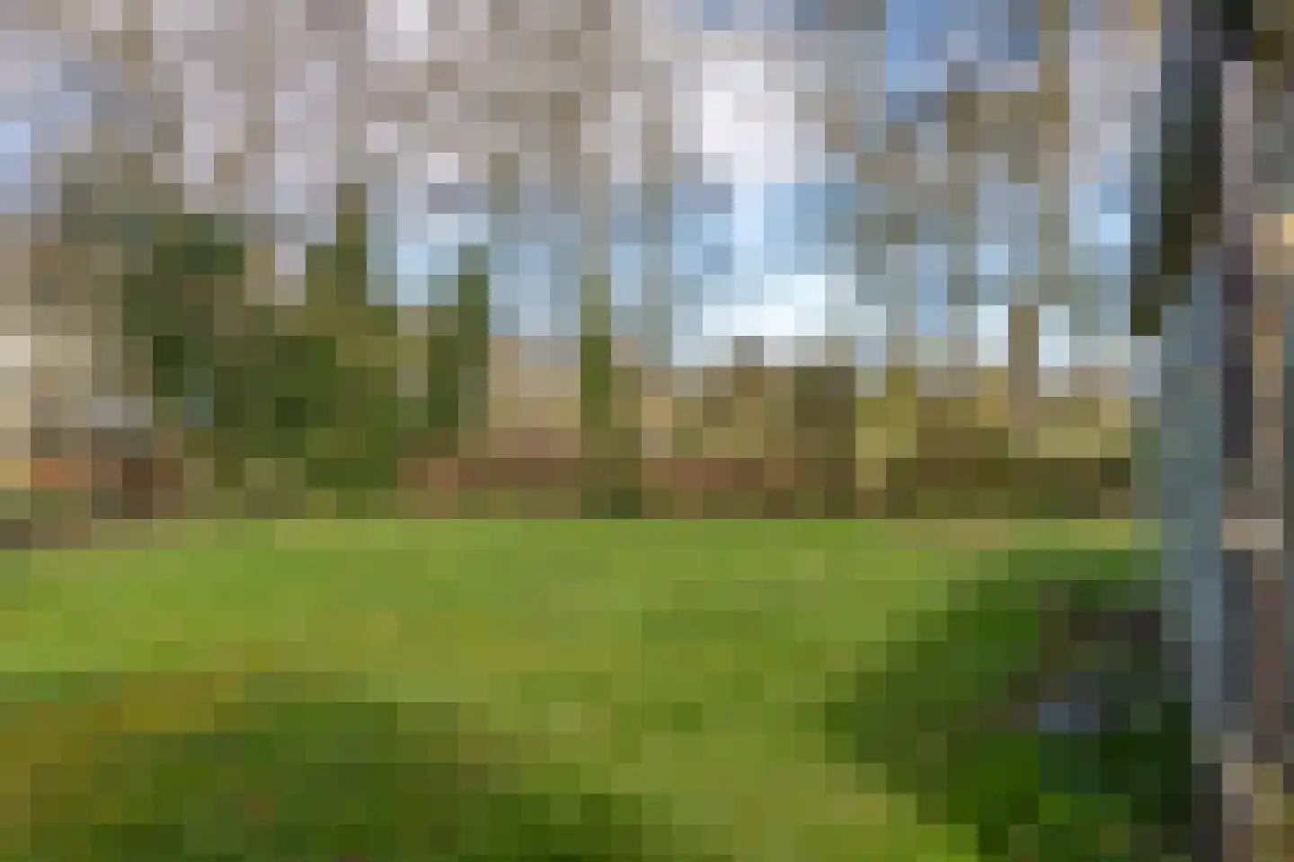 Snipperij 1 Kornhorn thumbnail 45