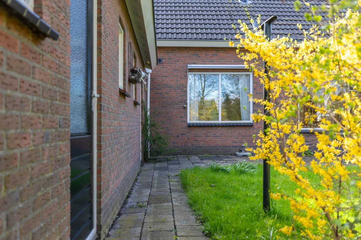 Snipperij 1 Kornhorn thumbnail 46