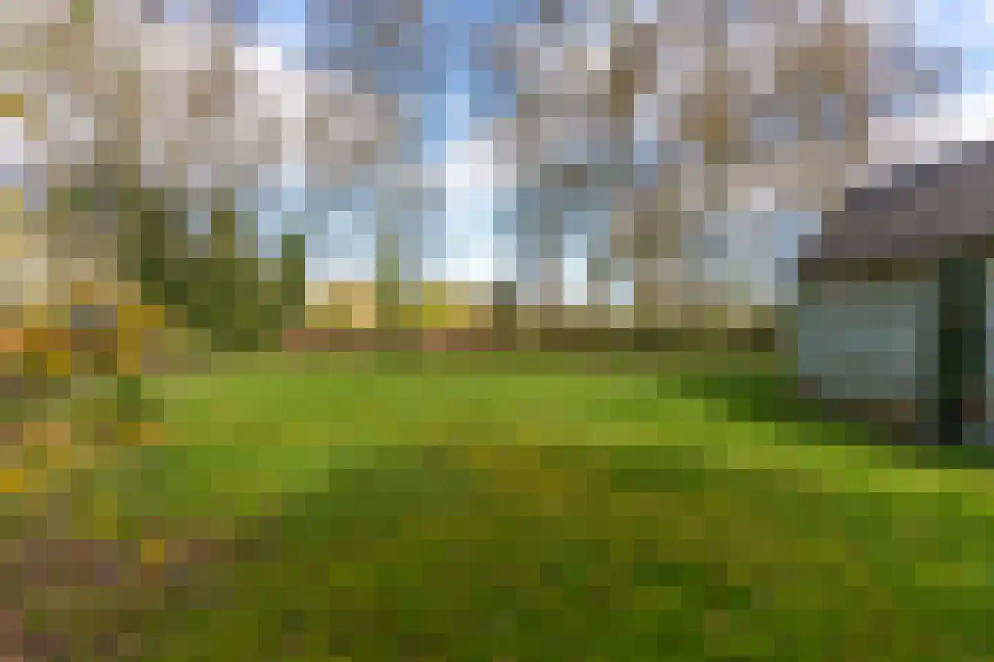 Snipperij 1 Kornhorn thumbnail 5