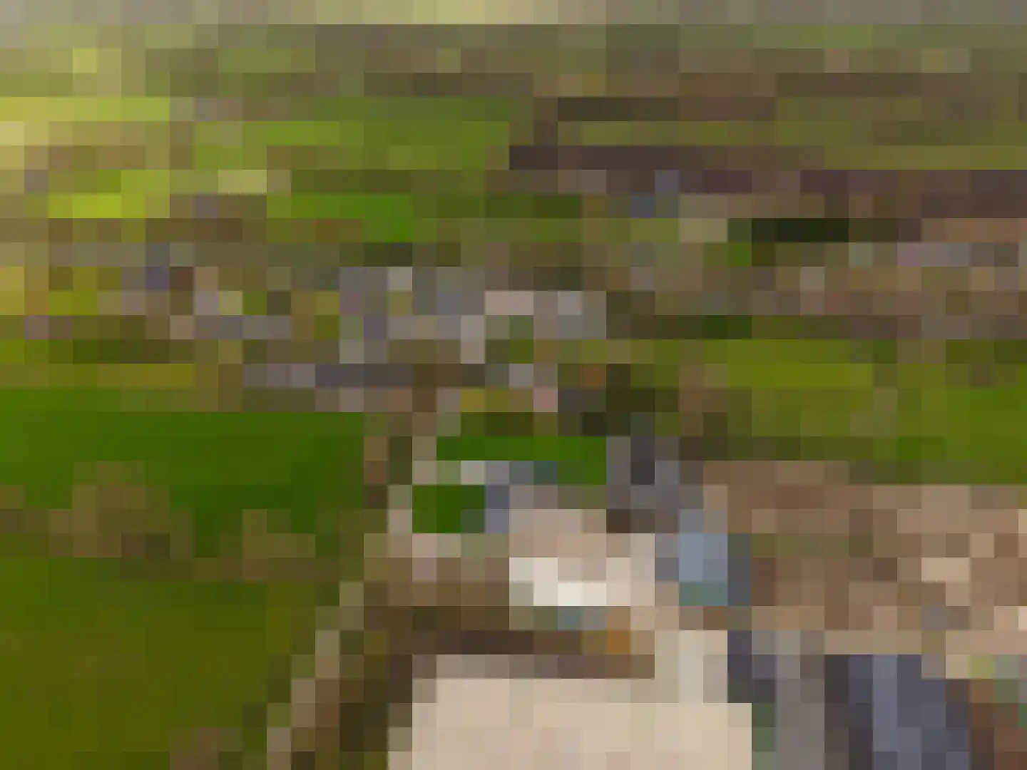 Snipperij 1 Kornhorn thumbnail 51