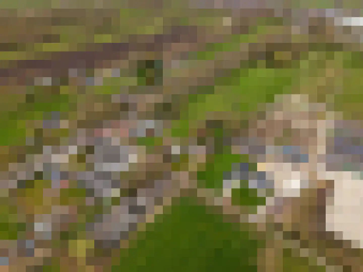 Snipperij 1 Kornhorn thumbnail 52
