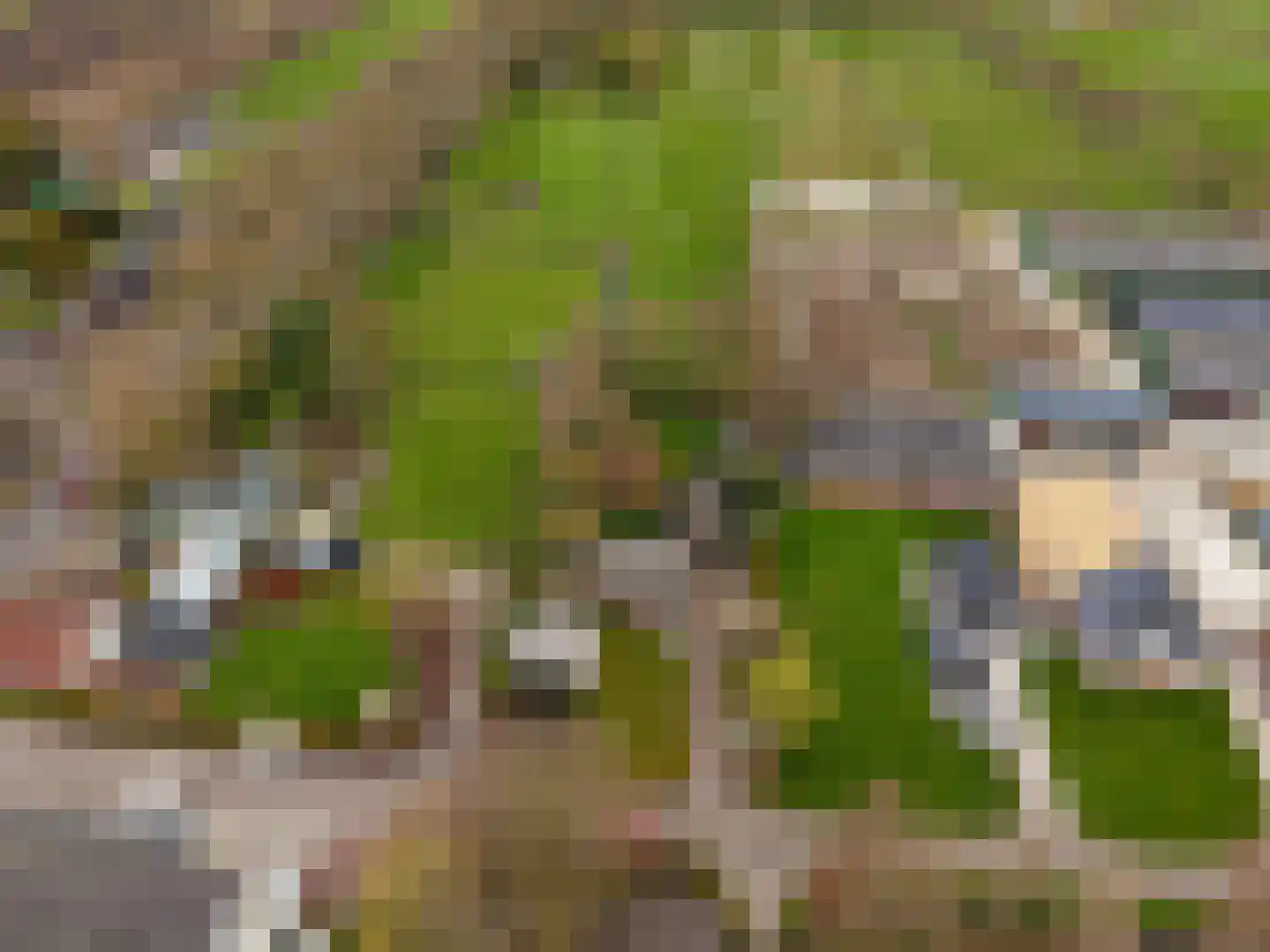 Snipperij 1 Kornhorn thumbnail 56