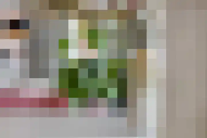 Snipstraat 108 Veenendaal thumbnail 10