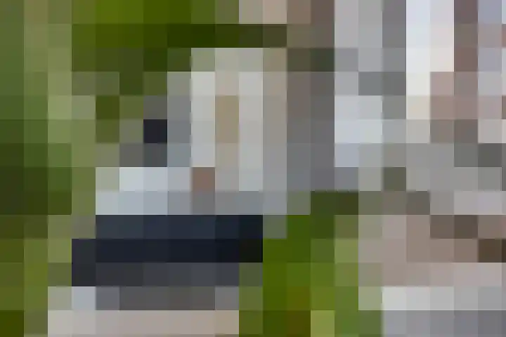 Snipstraat 108 Veenendaal thumbnail 11