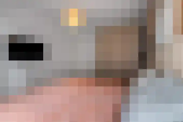 Snipstraat 108 Veenendaal thumbnail 19