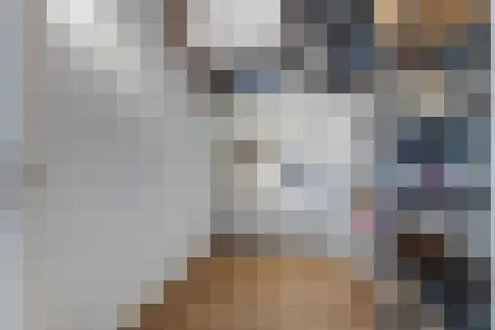 Snipstraat 108 Veenendaal thumbnail 24