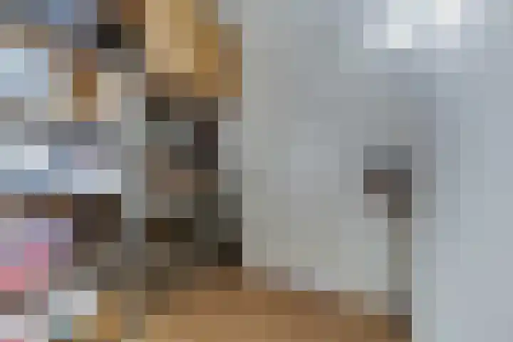 Snipstraat 108 Veenendaal thumbnail 25