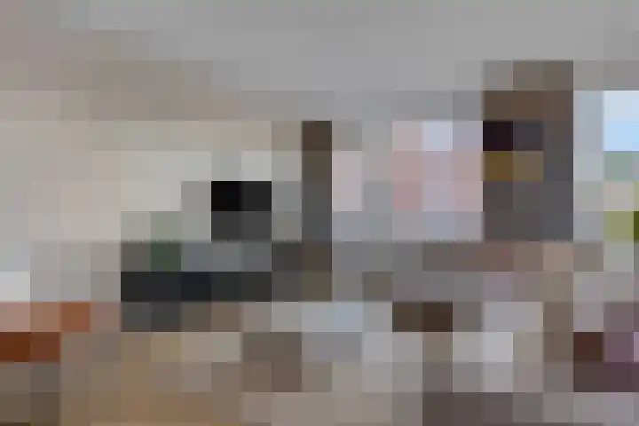 Snipstraat 108 Veenendaal thumbnail 4