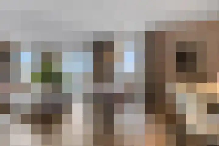 Snipstraat 108 Veenendaal thumbnail 7