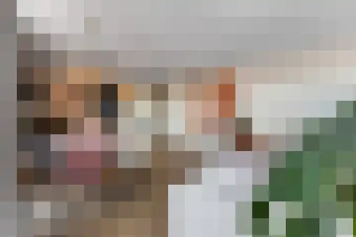Snipstraat 108 Veenendaal thumbnail 8