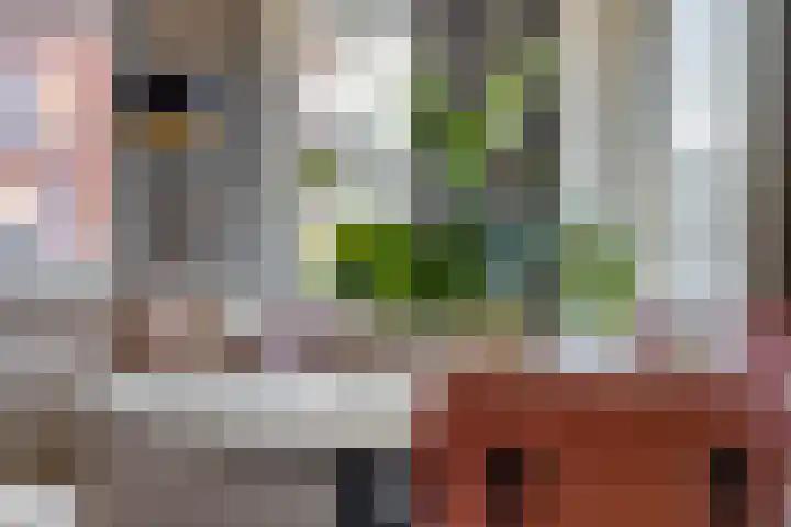 Snipstraat 108 Veenendaal thumbnail 9