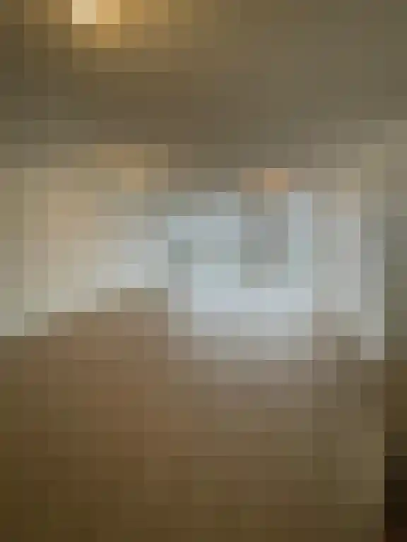 Snipstraat 118 Veenendaal thumbnail 4